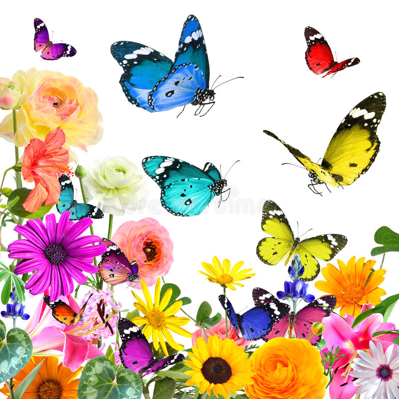 bloemen en vlinders